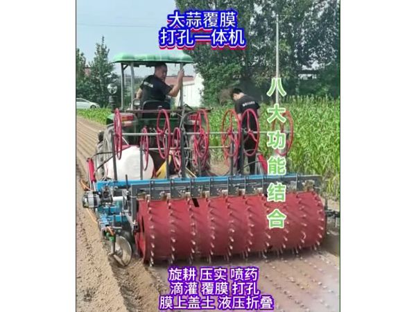 大蒜洋蔥覆膜打孔一體機視頻