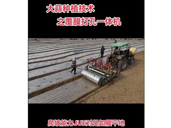 大蒜洋蔥覆膜打孔一體機(jī)視頻
